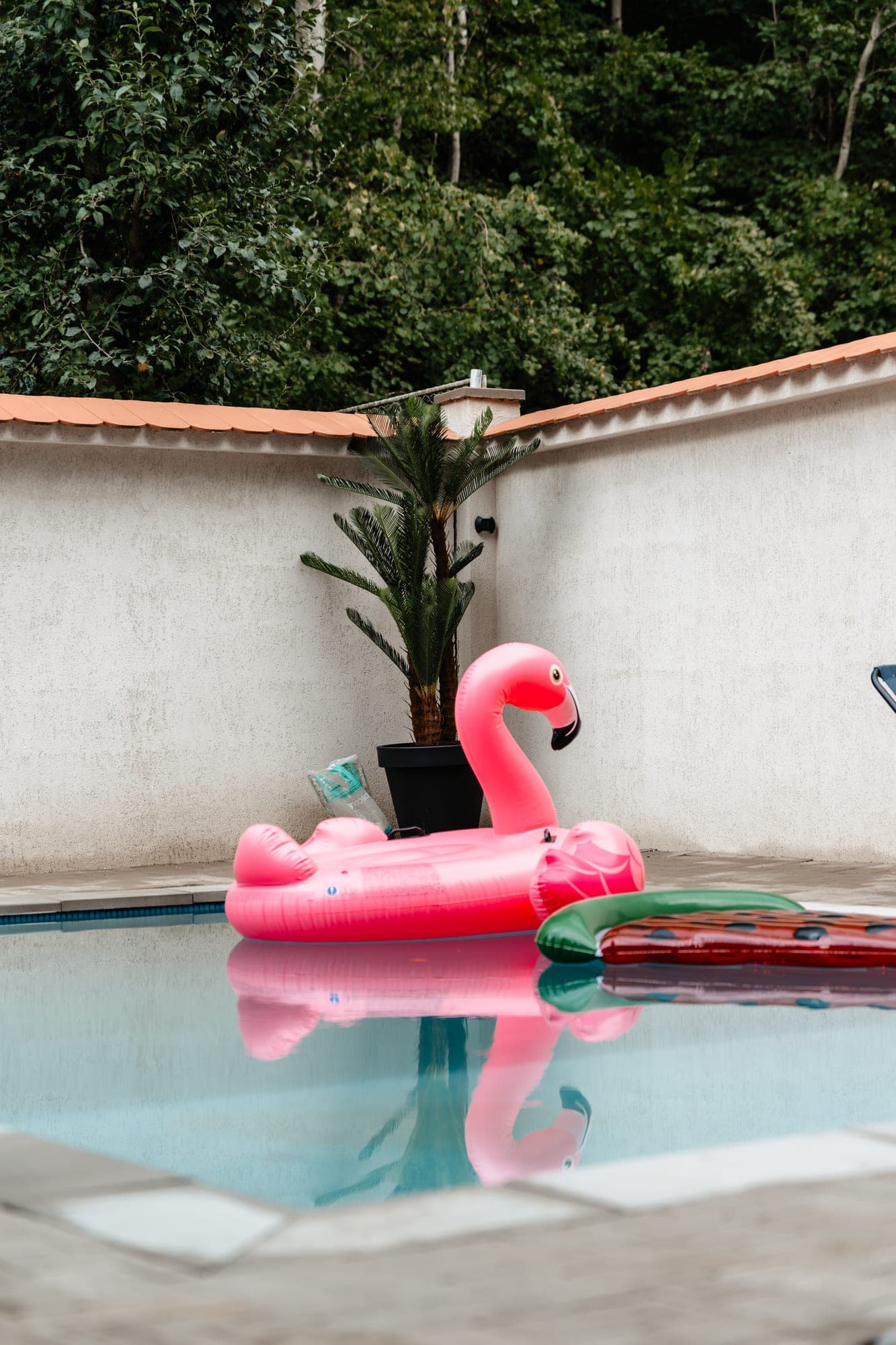 Flamingo gonflabil în piscina Villa Palm, Poiana Aiudului